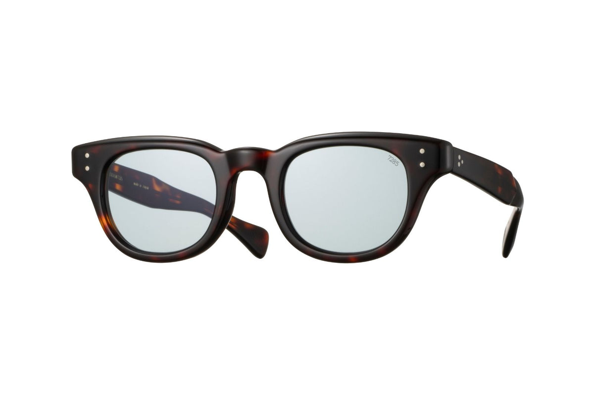 Eyevan | 353E in Havana Sunglasses - twelvesixtynine