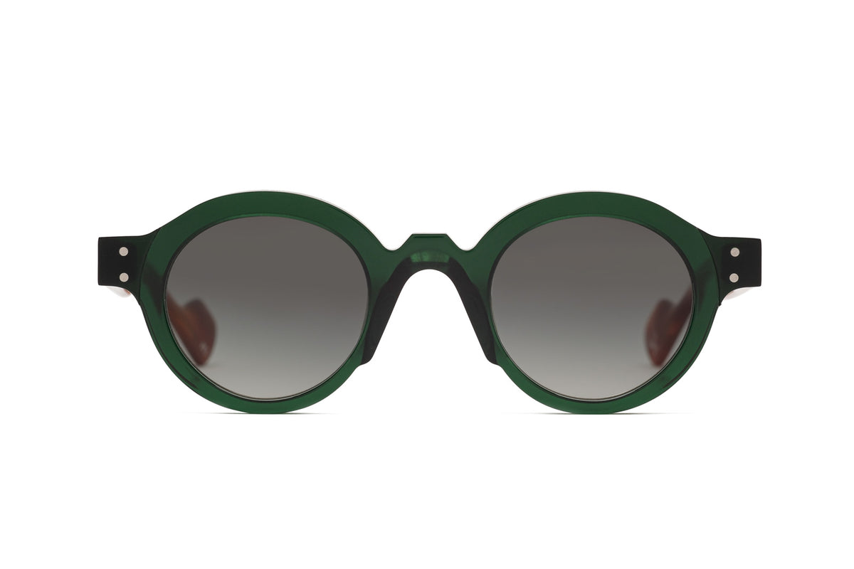Jean Philippe Joly | Producteur in Green Honey Tortoise  display picture 3