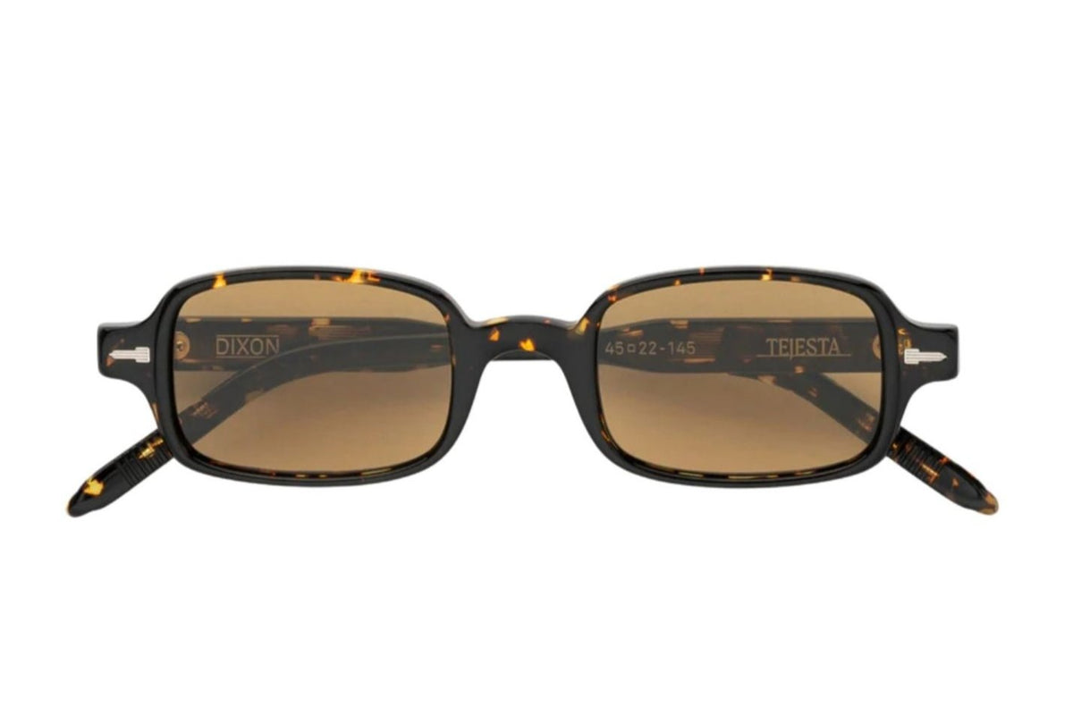 Tejesta Tuttle Chelonian Wayfarer Sunglasses - Dark Brown Lenses Tejesta® Eyewear - Tuttle Sunglasses | Specs Collective main image 2
