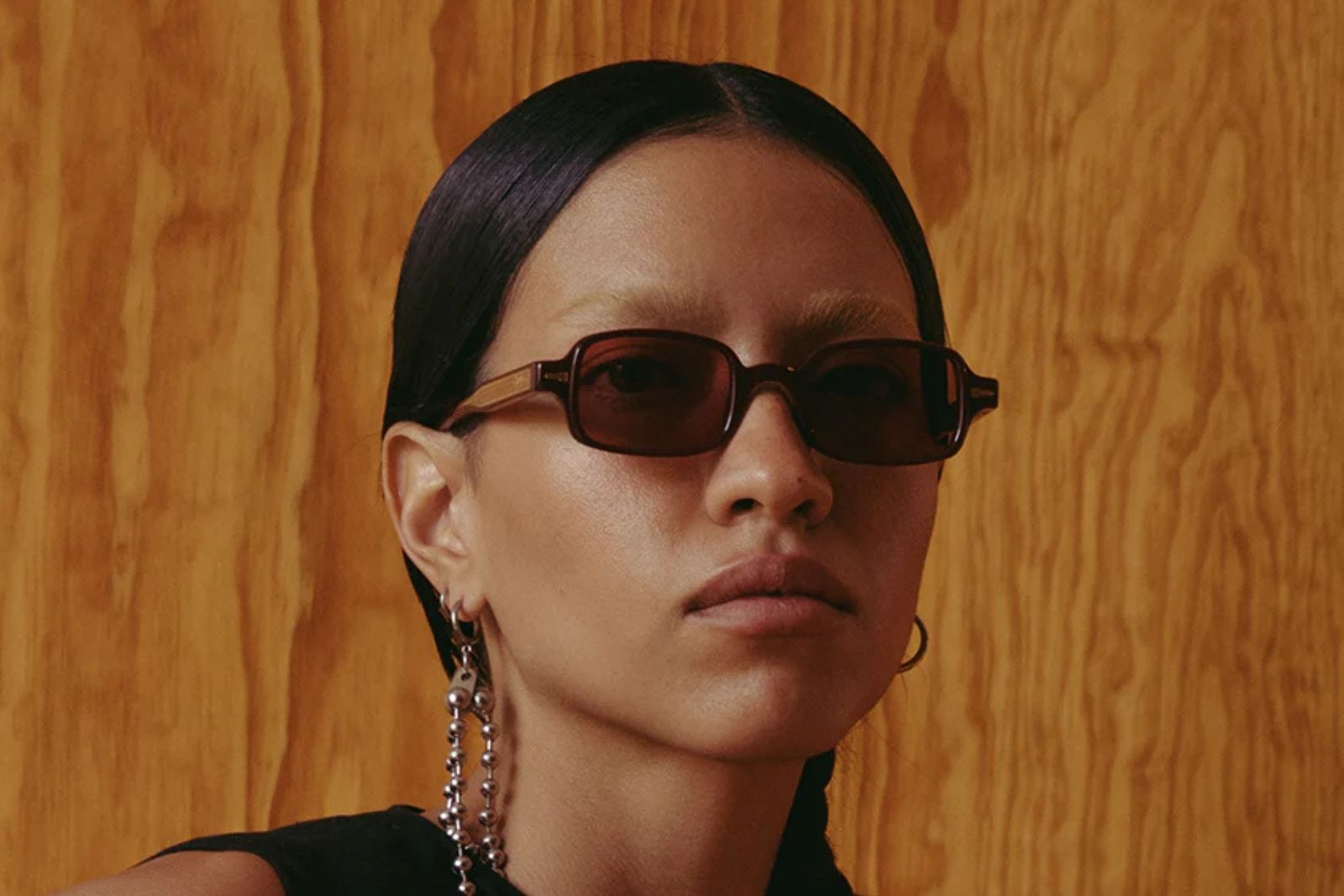 Tejesta Dixon Sunglasses on Model