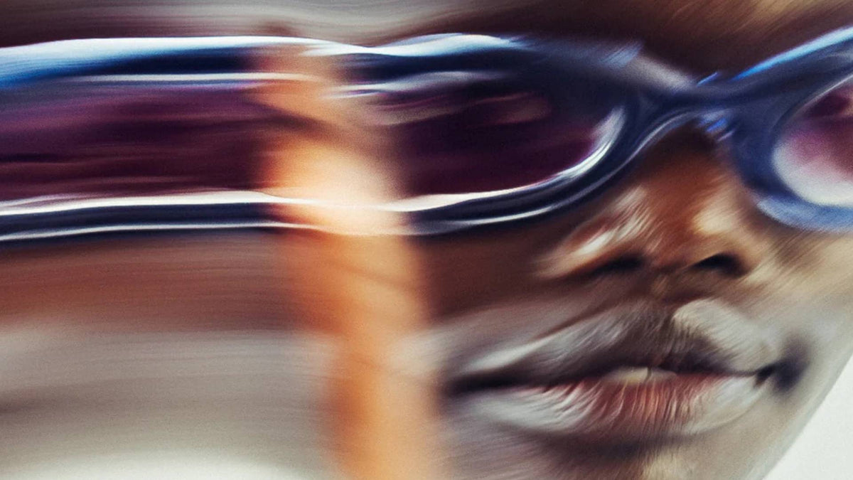 Paloceras Eyewear