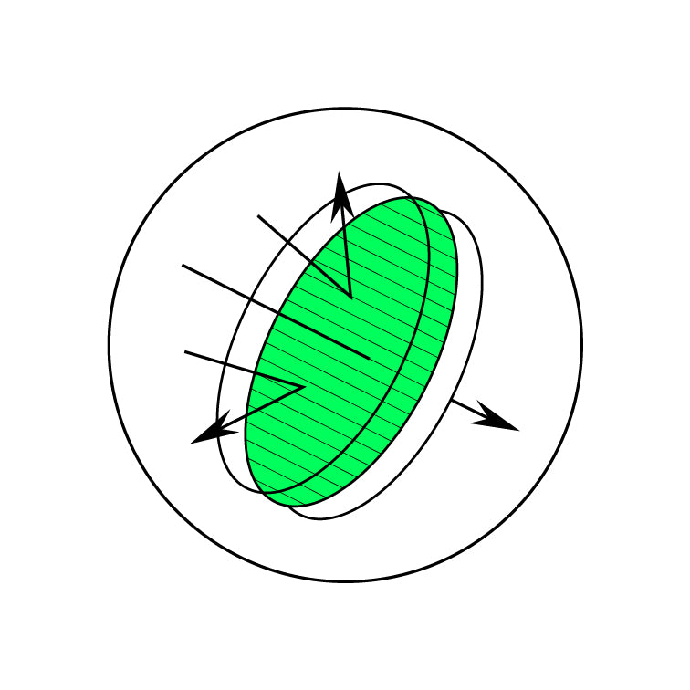 Polarized Lenses