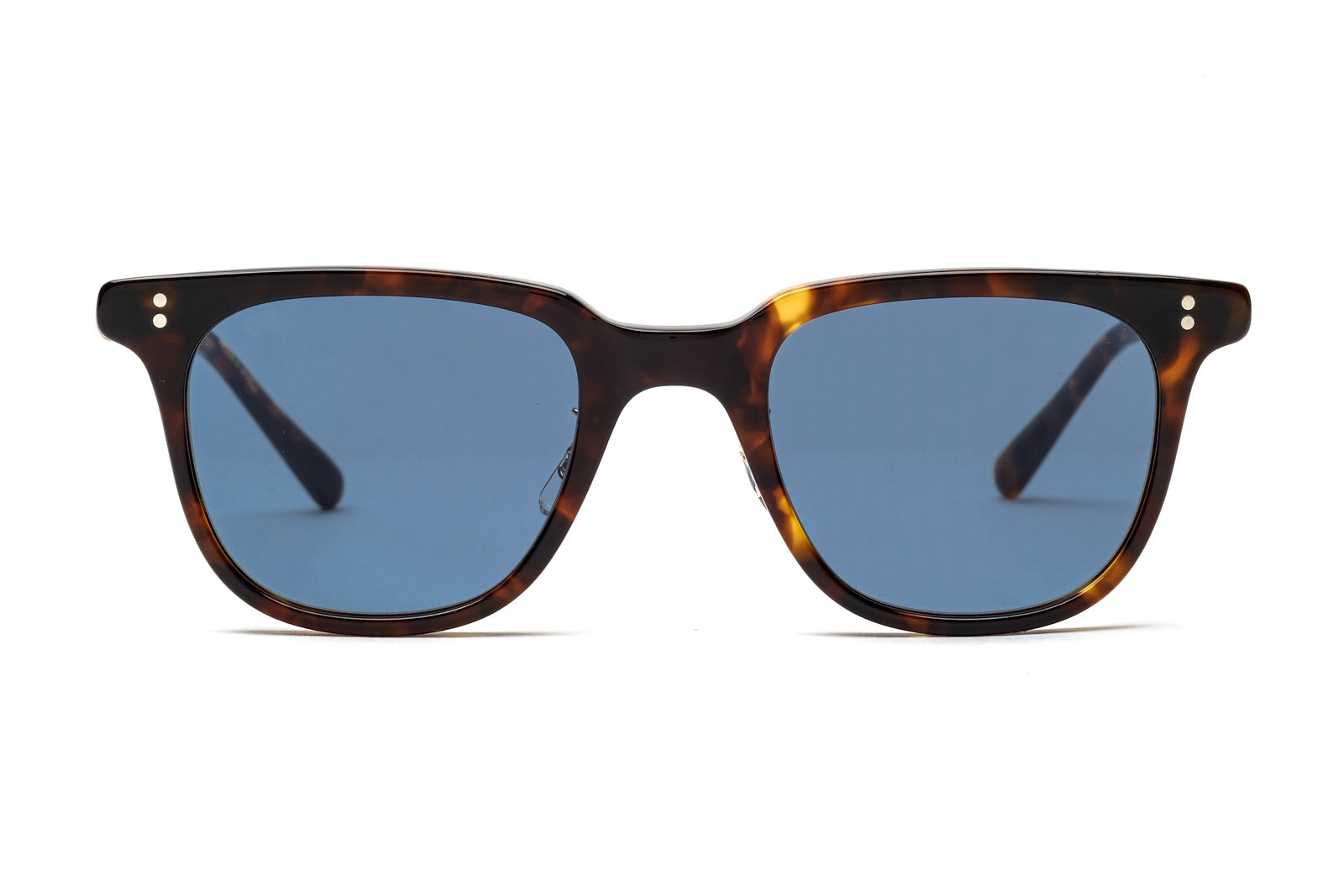 Eyevan Franz Tortoise Blue Sunglasses