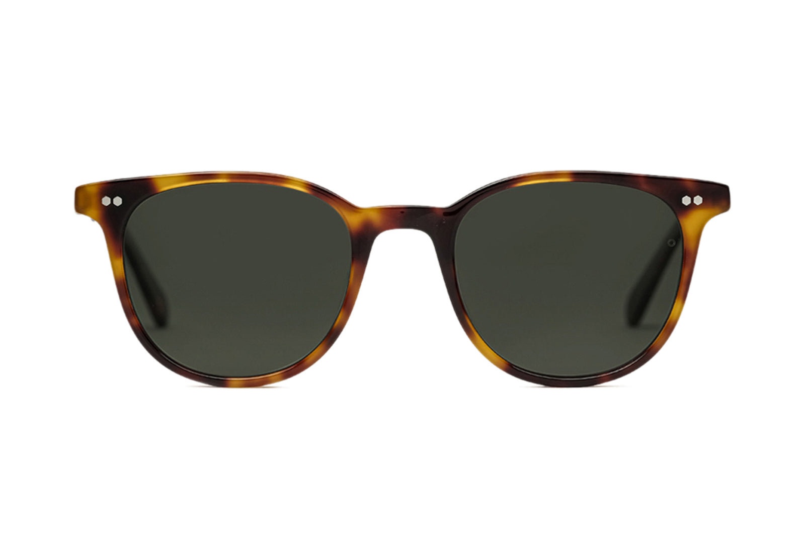 johann wolff frankie havana sunglasses1