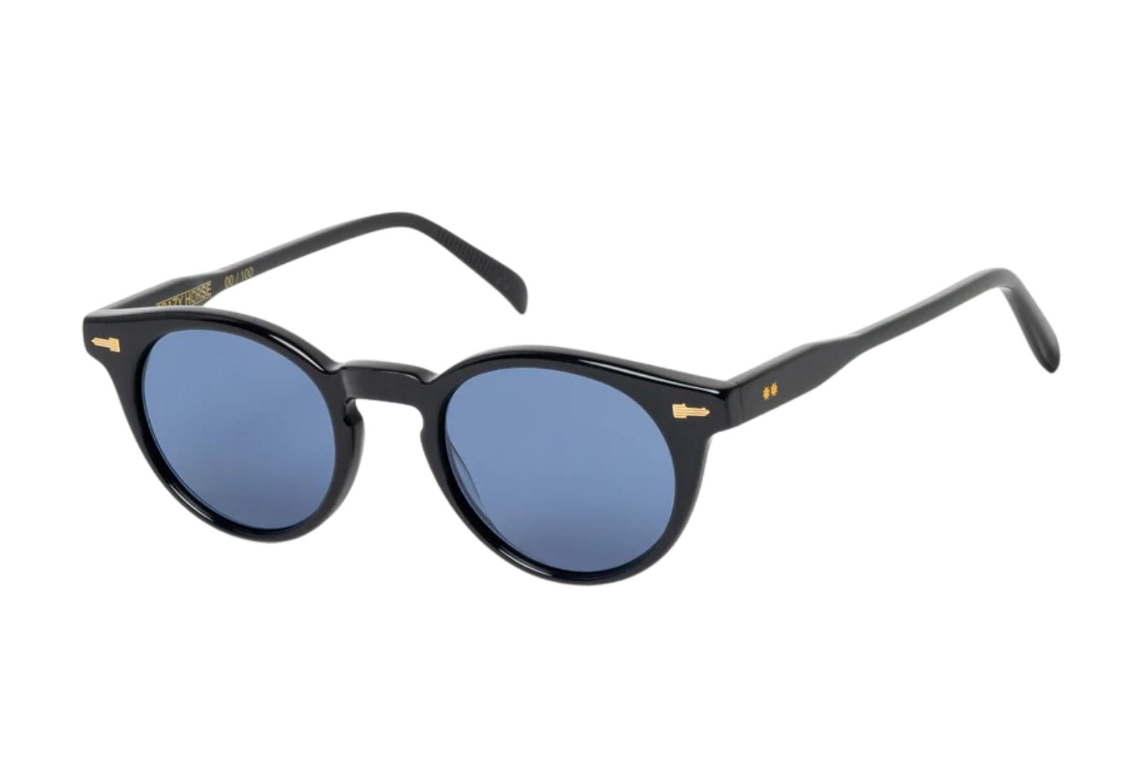 Tejesta Crazy Horse Midnight Sunglasses