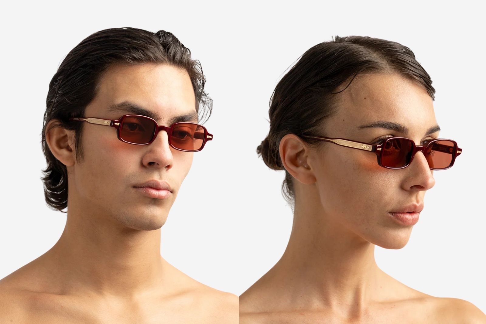 Tejesta Dixon Perennial Sunglasses Model