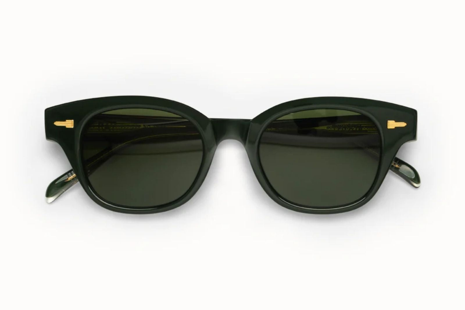 Tejesta Ray Sunglasses in BRG