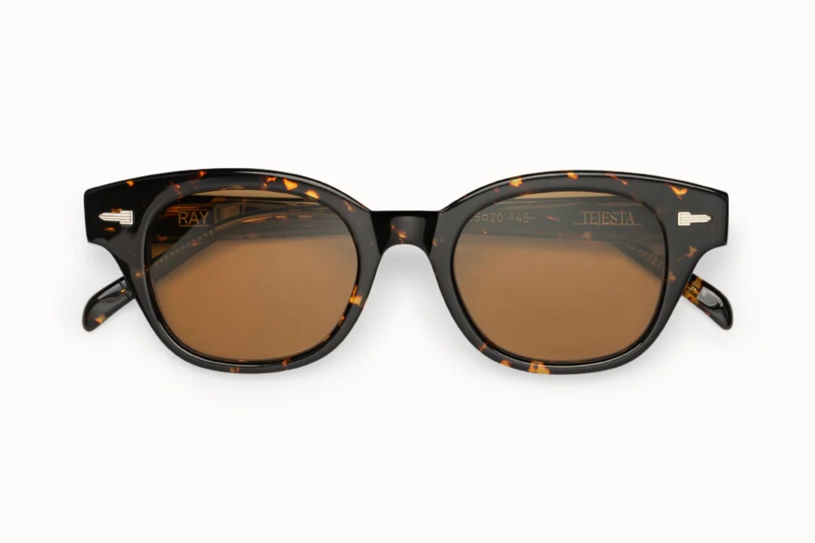 Tejesta Ray Sunglasses in Chelonian