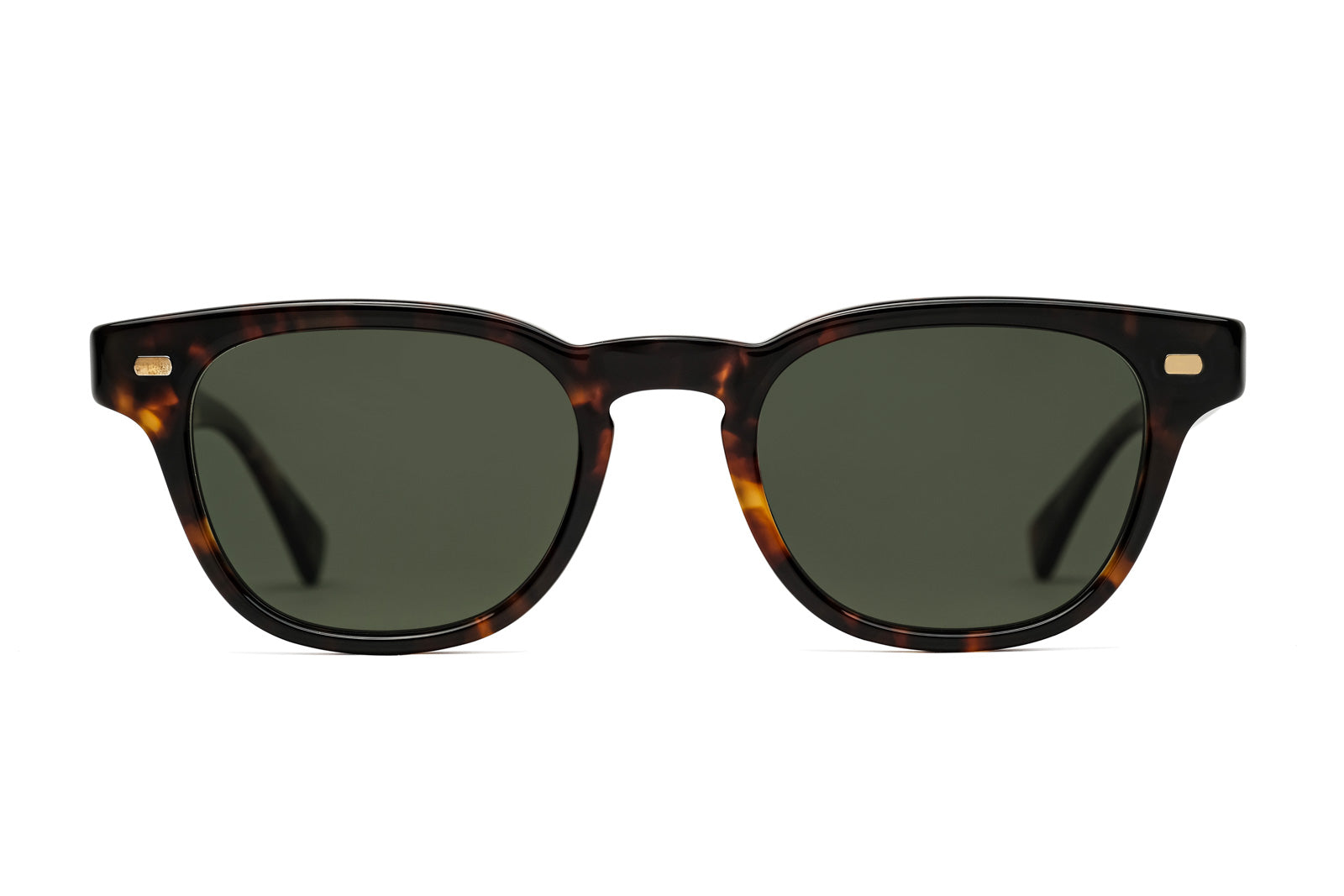 eyevan hank sun e tortoise sunglasses1