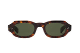 Eyevan 786 Tortoise Sunglasses