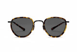 Eyevan 787 tort sunglasses